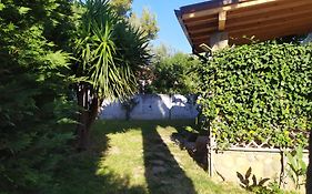 Villa Con Giardino Sul Lungomare